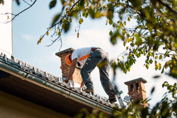 Best Slate Roofing Contractor  in Black Diamond, WA