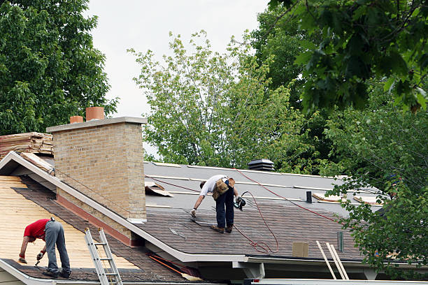 Best Roof Gutter Cleaning  in Black Diamond, WA