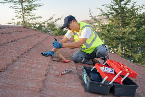 Best Roof Repair Services  in Black Diamond, WA